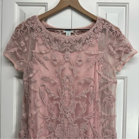 Sundance True Grace Pink Lace Dress Blush Pink Size PXS Made in India - Picture 3 of 15